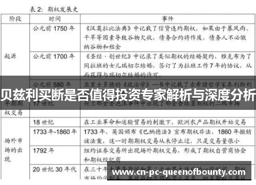 贝兹利买断是否值得投资专家解析与深度分析