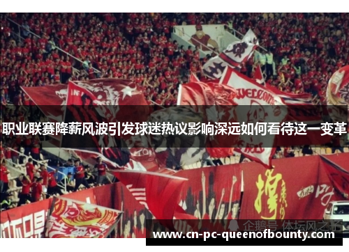 职业联赛降薪风波引发球迷热议影响深远如何看待这一变革