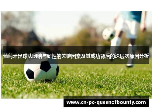 葡萄牙足球队团结与韧性的关键因素及其成功背后的深层次原因分析