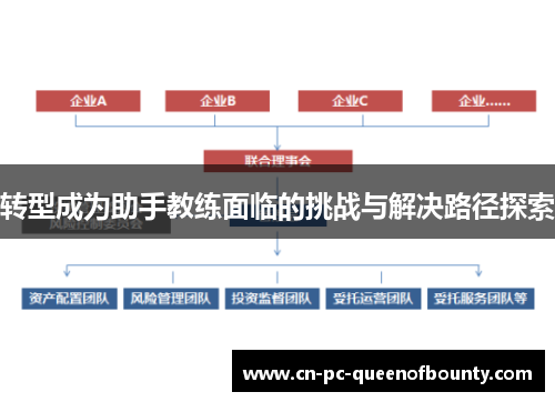 转型成为助手教练面临的挑战与解决路径探索