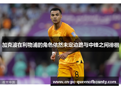 加克波在利物浦的角色依然未定边路与中锋之间徘徊